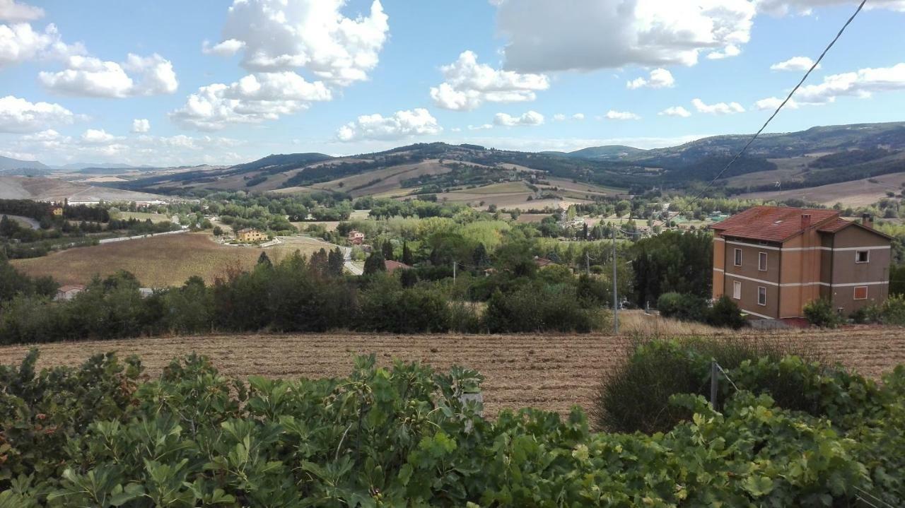 Agriturismo Cerquaglia Todi Exteriör bild
