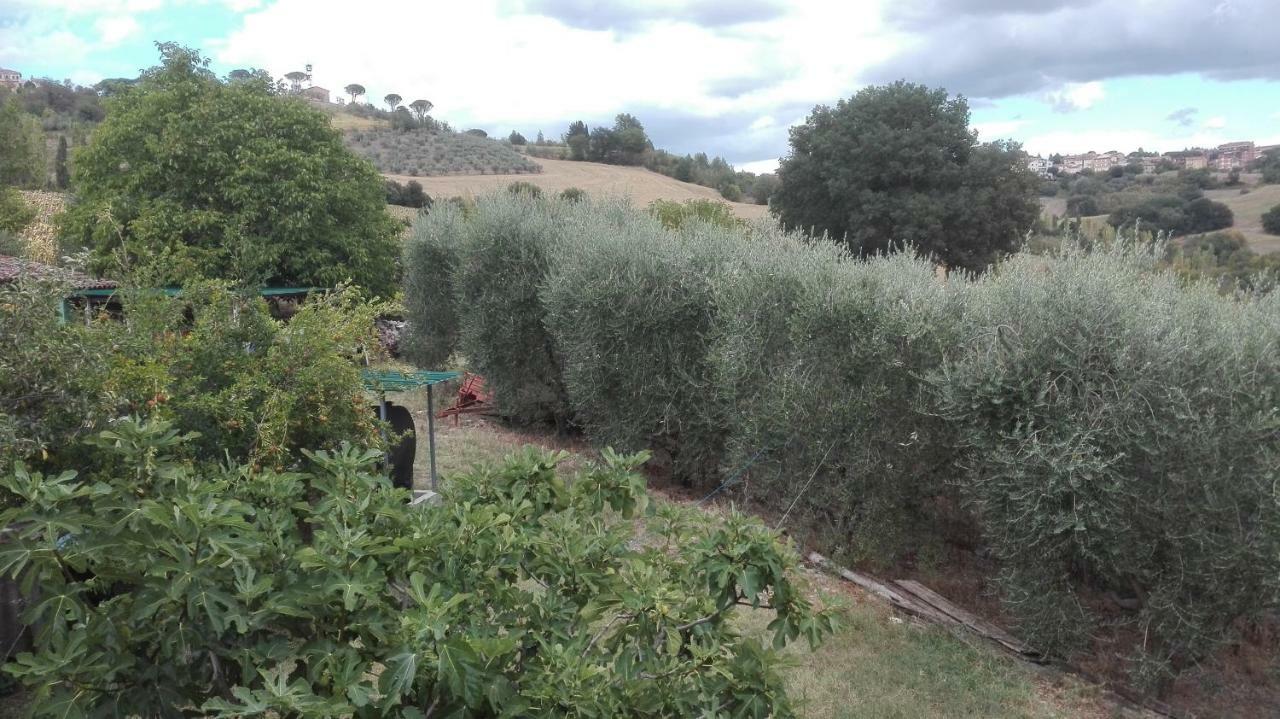 Agriturismo Cerquaglia Todi Exteriör bild